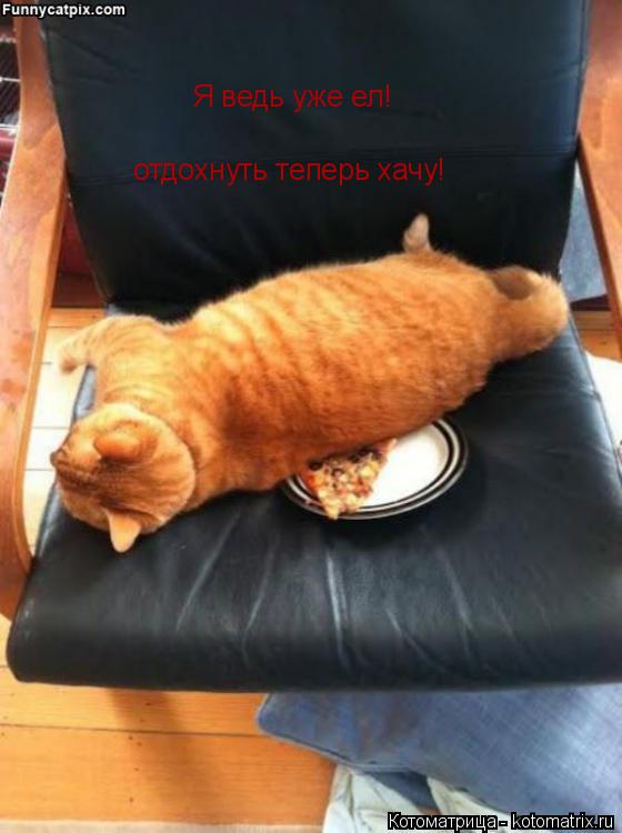 Котоматрица: отдохнуть теперь хачу! отдохнуть теперь хачу! Я ведь уже ел!