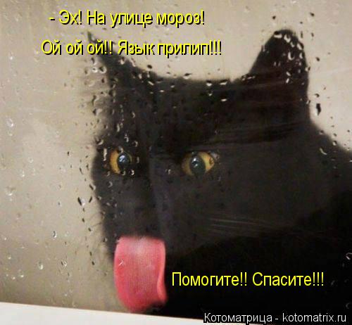 - Эх! На улице мороз! Ой ой ой!! Язык прилип!!! Помогите!! Спасите!!!... Котоматрица: - Эх! На улице мороз! Ой ой ой!! Язык прилип!!! Помогите!! Спасите!!!