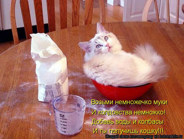 Котоматрица: Возьми немножечко муки И колдовства немножко! Добавь воды и колбасы И ты получишь кошку!!!