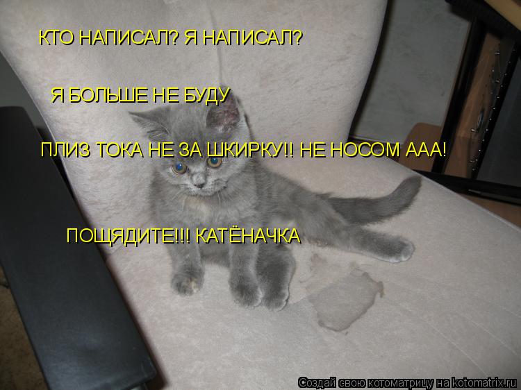 Котоматрица: КТО НАПИСАЛ? Я НАПИСАЛ? Я БОЛЬШЕ НЕ БУДУ ПЛИЗ ТОКА НЕ ЗА ШКИРКУ!! НЕ НОСОМ ААА! ПОЩЯДИТЕ!!! КАТЁНАЧКА