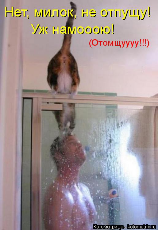 Котоматрица: Нет, милок, не отпущу! Уж намооою! (Отомщуууу!!!)