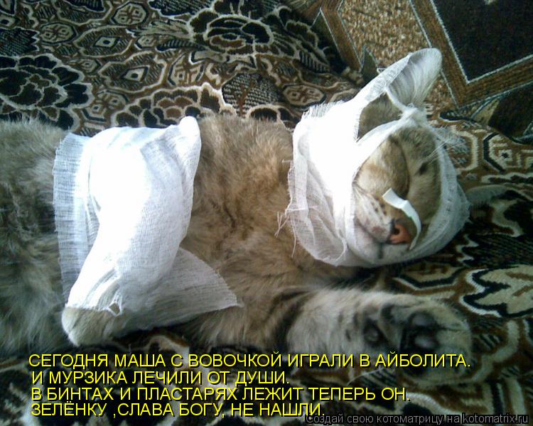 Котоматрица: СЕГОДНЯ МАША С ВОВОЧКОЙ ИГРАЛИ В АЙБОЛИТА. И МУРЗИКА ЛЕЧИЛИ ОТ ДУШИ. В БИНТАХ И ПЛАСТАРЯХ ЛЕЖИТ ТЕПЕРЬ ОН. ЗЕЛЁНКУ ,СЛАВА БОГУ, НЕ НАШЛИ.