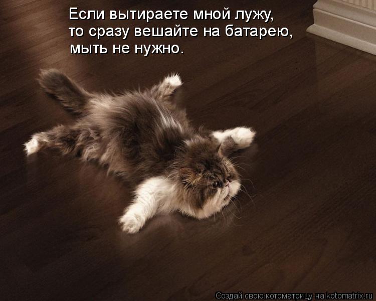 Если вытираете мной лужу, то сразу вешайте на батарею, мыть не нужно.... Котоматрица: Если вытираете мной лужу, то сразу вешайте на батарею, мыть не нужно.