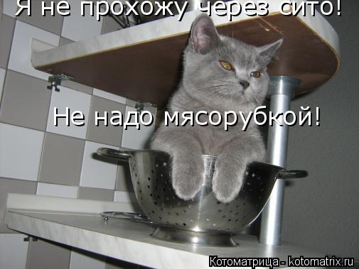 Котоматрица: Я не прохожу через сито! Не надо мясорубкой!