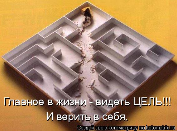 Главное в жизни - видеть ЦЕЛЬ!!! И верить в себя.... Котоматрица: Главное в жизни - видеть ЦЕЛЬ!!! И верить в себя.