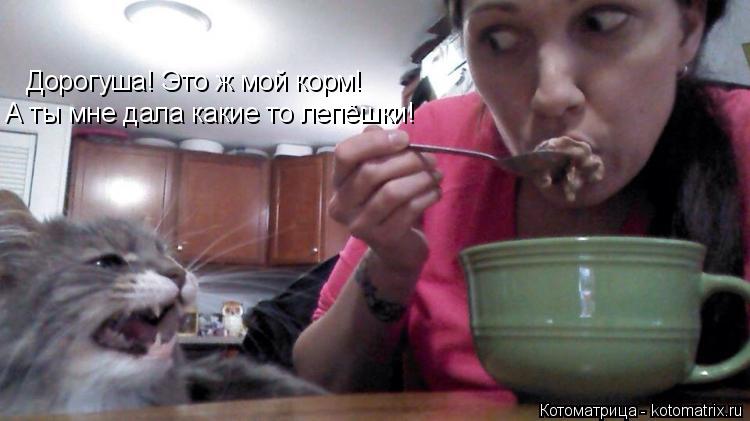 Дорогуша! Это ж мой корм! А ты мне дала какие то лепёшки!... Котоматрица: Дорогуша! Это ж мой корм! А ты мне дала какие то лепёшки!