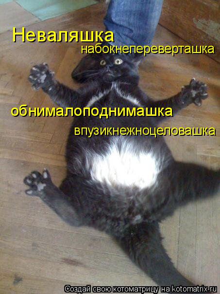 Неваляшка набокнепереверташка обнималоподнимашка впузикнежноцеловашка... Котоматрица: Неваляшка набокнепереверташка обнималоподнимашка впузикнежноцеловашка