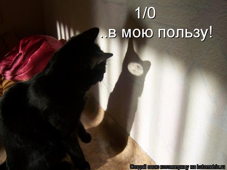 Котоматрица: 1/0 ..в мою пользу!