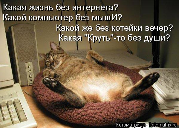 Котоматрица: Какая жизнь без интернета? Какой компьютер без мышИ? Какой же без котейки вечер? Какая "Круть"-то без души?