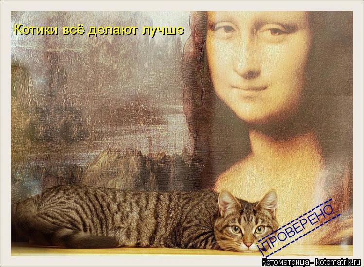 Котоматрица: ------------------ ------------------ | ПРОВЕРЕНО Котики всё делают лучше
