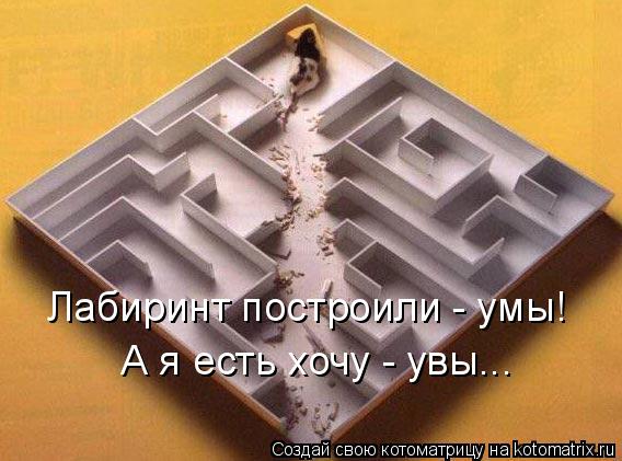 Котоматрица: Лабиринт построили - умы! А я есть хочу - увы...