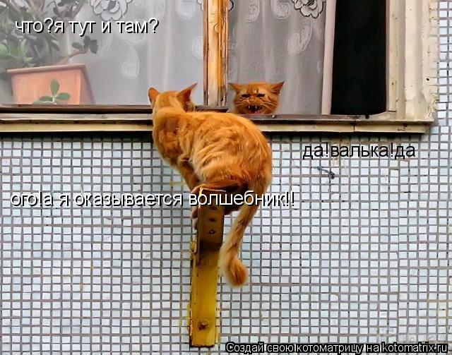 Котоматрица: что?я тут и там? ого!а я оказывается волшебник!! да!валька!да