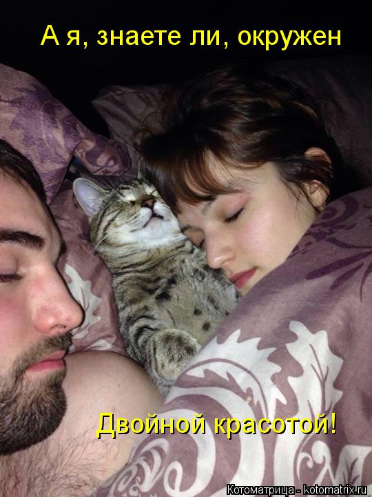 Котоматрица: А я, знаете ли, окружен Двойной красотой!