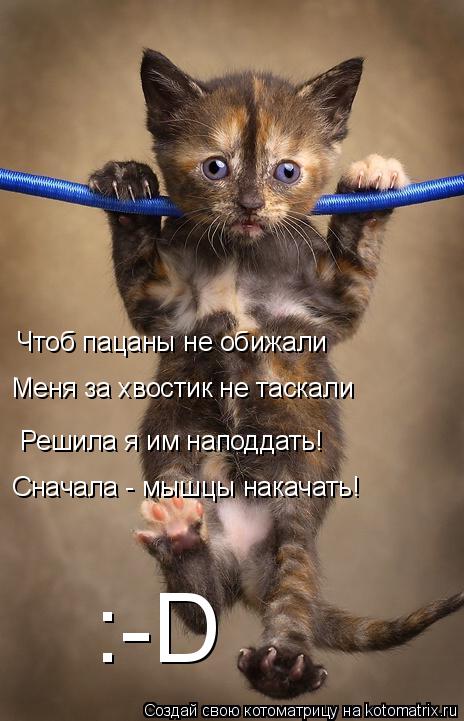 Котоматрица: Чтоб пацаны не обижали Меня за хвостик не таскали Решила я им наподдать! Сначала - мышцы накачать! :-D