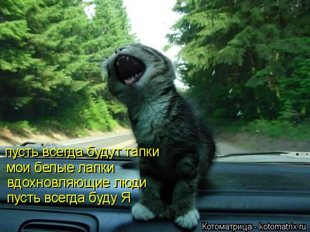 пусть всегда будут тапки мои белые лапки вдохновляющие люди пусть всегда буду Я... Котоматрица: пусть всегда будут тапки мои белые лапки вдохновляющие люди пусть всегда буду Я