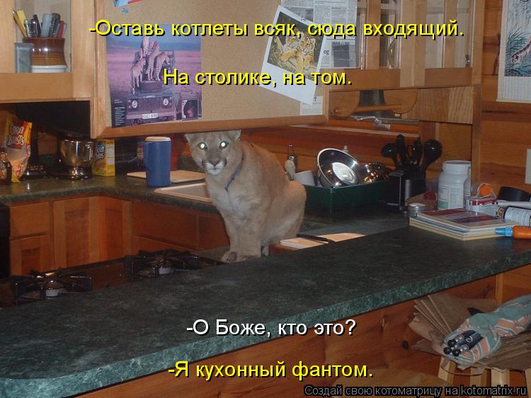 Котоматрица: -О Боже, кто это? -Я кухонный фантом. -Оставь котлеты всяк, сюда входящий.  На столике, на том.