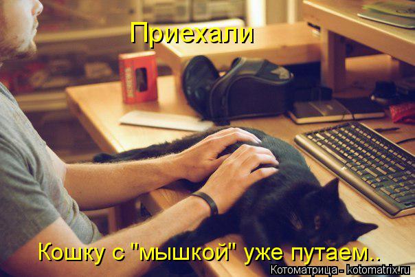 Котоматрица: Приехали Кошку с "мышкой" уже путаем..