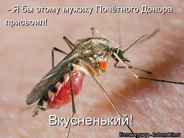 Котоматрица: Вкусненький! - Я бы этому мужику Почётного Донора присвоил!