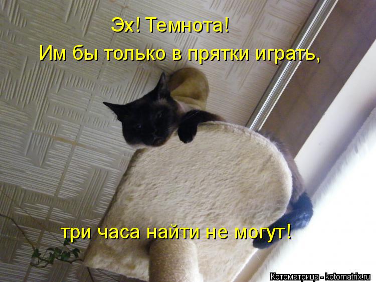 Эх! Темнота! Им бы только в прятки играть, три часа найти не могут!... Котоматрица: Эх! Темнота! Им бы только в прятки играть, три часа найти не могут!