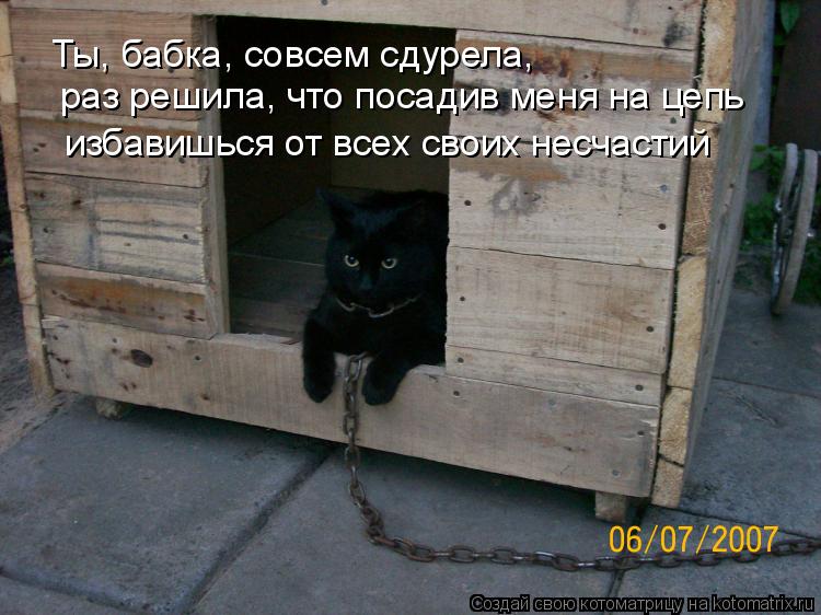 Ты, бабка, совсем сдурела, раз решила, что посадив меня на цепь избавишься от всех своих несчастий... Котоматрица: Ты, бабка, совсем сдурела, раз решила, что посадив меня на цепь избавишься от всех своих несчастий