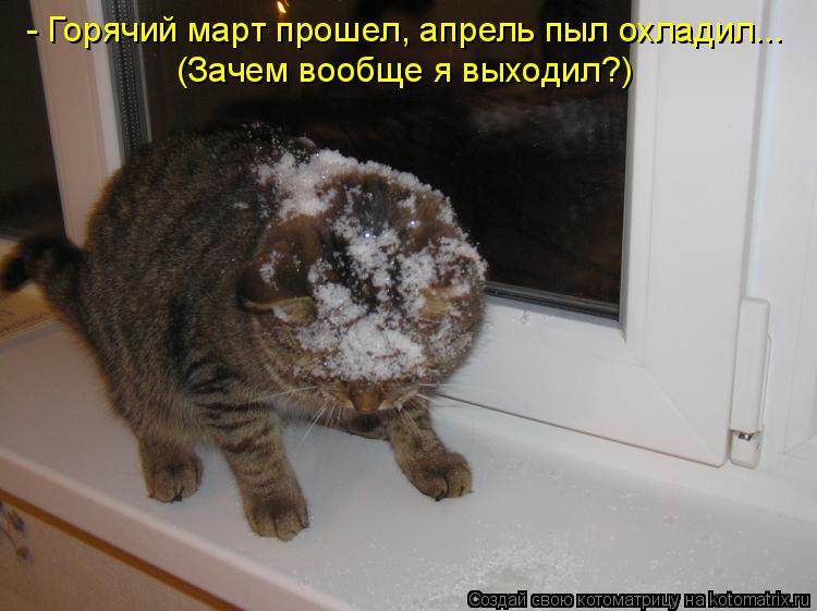 Котоматрица: - Горячий март прошел, апрель пыл охладил... (Зачем вообще я выходил?)
