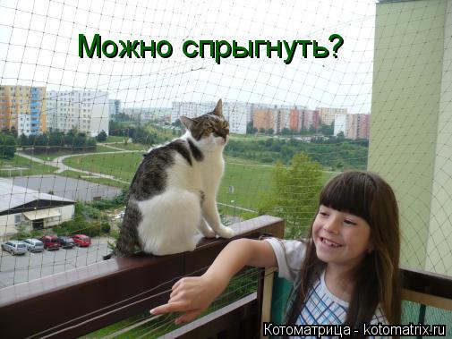 Можно спрыгнуть?... Котоматрица: Можно спрыгнуть?