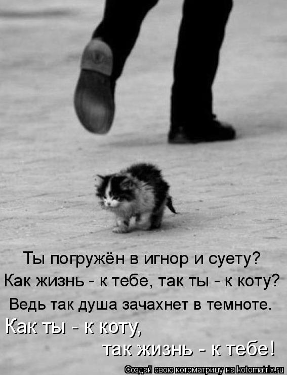 Ты погружён в игнор и суету? Ведь так душа зачахнет в темноте. Как жизнь - к тебе, так ты - к коту? К... Котоматрица: Ты погружён в игнор и суету? Ведь так душа зачахнет в темноте. Как жизнь - к тебе, так ты - к коту? Как ты - к коту, так жизнь - к тебе!