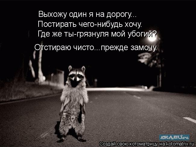 Выхожу один я на дорогу... Постирать чего-нибудь хочу. Где же ты-грязнуля мой убогий? Отстираю чисто.... Котоматрица: Выхожу один я на дорогу... Постирать чего-нибудь хочу. Где же ты-грязнуля мой убогий? Отстираю чисто...прежде замочу.