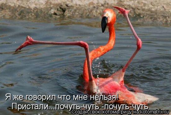 Котоматрица: Я же говорил что мне нельзя! Пристали...почуть-чуть -почуть-чуть
