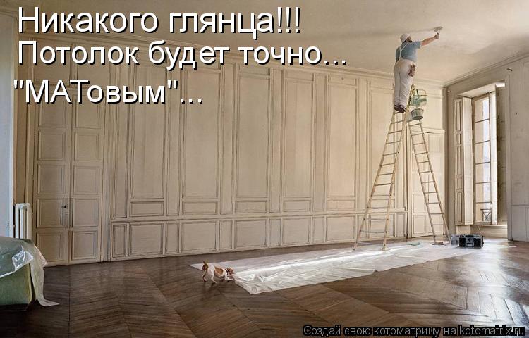 Котоматрица: Никакого глянца!!! Потолок будет точно...  "МАТовым"...