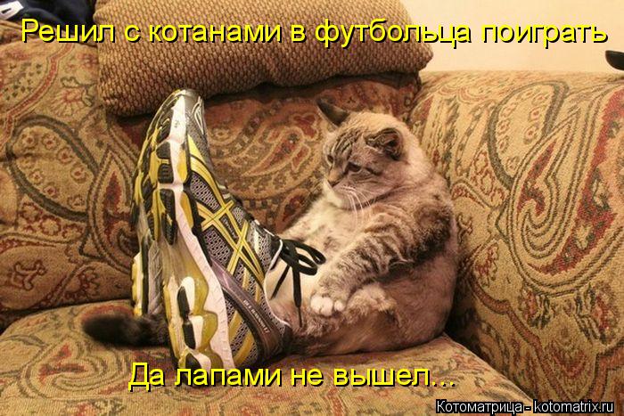 Котоматрица: Решил с котанами в футбольца поиграть Да лапами не вышел...