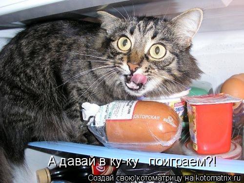 Котоматрица: А давай в ку-ку   поиграем?!