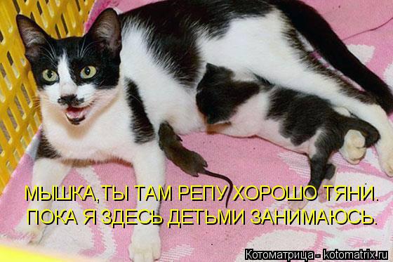 Котоматрица: МЫШКА,ТЫ ТАМ РЕПУ ХОРОШО ТЯНИ. ПОКА Я ЗДЕСЬ ДЕТЬМИ ЗАНИМАЮСЬ.