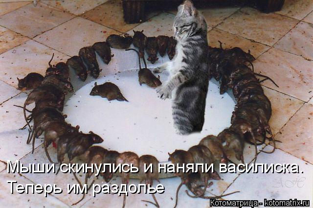 Котоматрица: Мыши скинулись и наняли василиска.  Теперь им раздолье