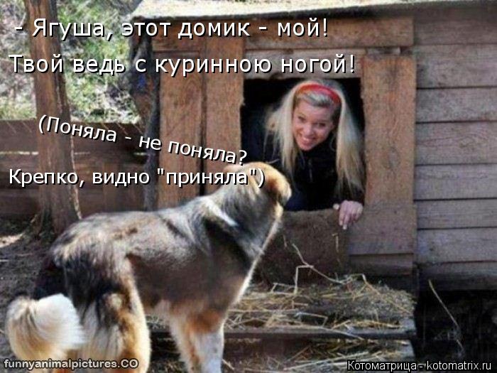 Котоматрица: Твой ведь с куринною ногой! (Поняла - не поняла? Крепко, видно "приняла") - Ягуша, этот домик - мой!