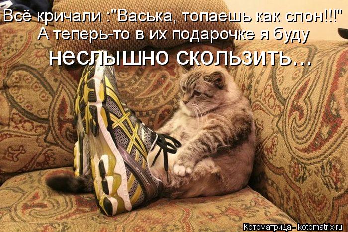 Котоматрица: Всё кричали :"Васька, топаешь как слон!!!" А теперь-то в их подарочке я буду  неслышно скользить...