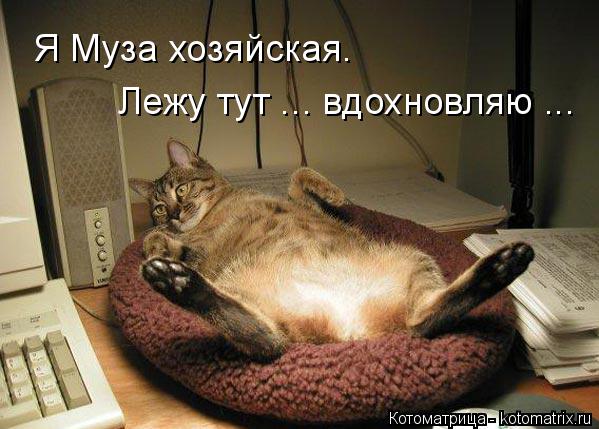 Я Муза хозяйская. Лежу тут ... вдохновляю ...... Котоматрица: Я Муза хозяйская. Лежу тут ... вдохновляю ...