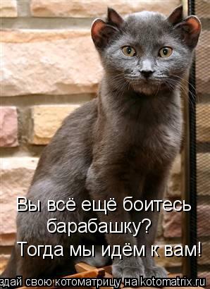 Котоматрица: Тогда мы идём к вам! Вы всё ещё боитесь барабашку?
