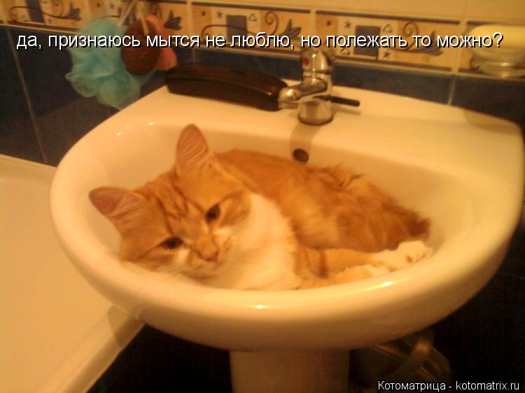 Котоматрица: да, признаюсь мытся не люблю, но полежать то можно?