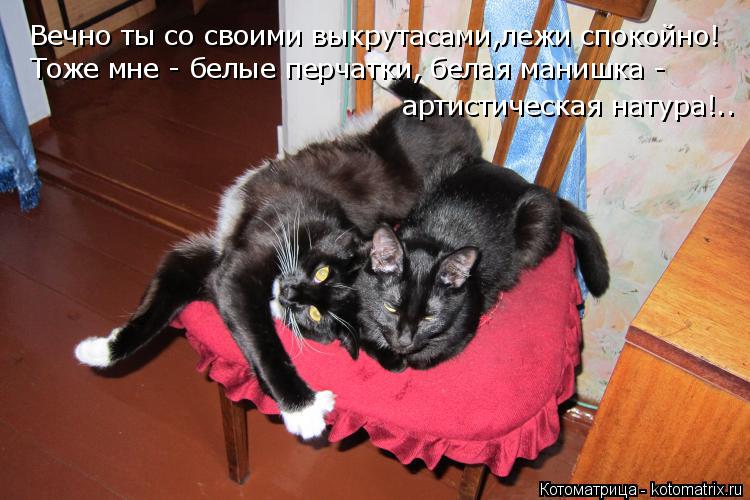 Котоматрица: Вечно ты со своими выкрутасами,лежи спокойно! Тоже мне - белые перчатки, белая манишка - артистическая натура!..