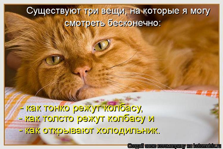 Котоматрица: Существуют три вещи, на которые я могу смотреть бесконечно: - как толсто режут колбасу и - как тонко режут колбасу, - как открывают холодильни