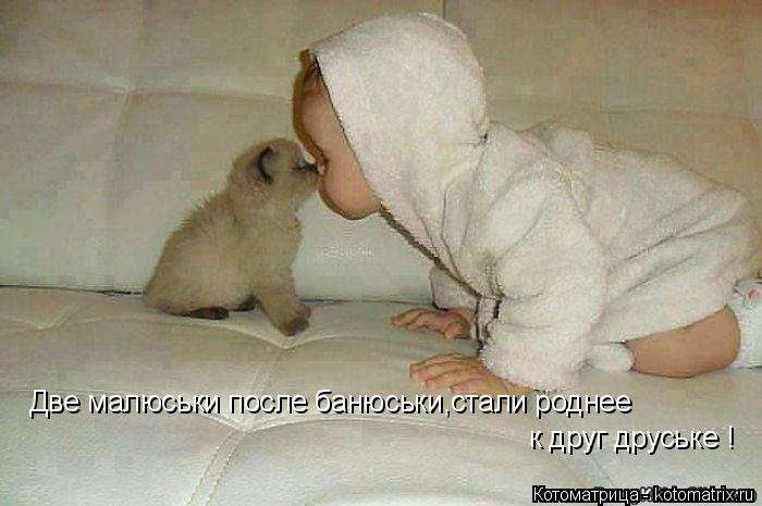 Котоматрица: Две малюськи после банюськи,стали роднее  к друг друське !