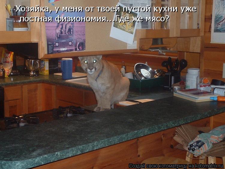 Котоматрица: Хозяйка, у меня от твоей пустой кухни уже постная физиономия...Где же мясо?