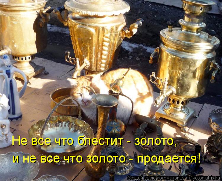 Не все что блестит - золото, и не все что золото - продается!... Котоматрица: Не все что блестит - золото, и не все что золото - продается!