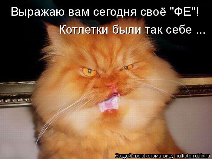 Котоматрица: Выражаю вам сегодня своё "ФЕ"! Котлетки были так себе ...