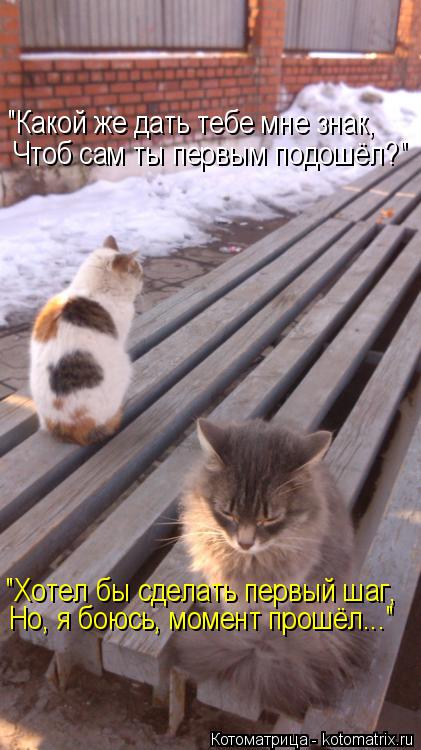 Котоматрица: "Какой же дать тебе мне знак, Чтоб сам ты первым подошёл?" "Хотел бы сделать первый шаг, Но, я боюсь, момент прошёл..."