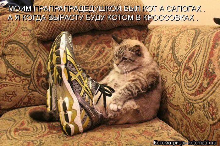 Котоматрица: МОИМ ПРАПРАПРАДЕДУШКОЙ БЫЛ КОТ А САПОГАХ .  А Я КОГДА ВЫРАСТУ БУДУ КОТОМ В КРОССОВКАХ .