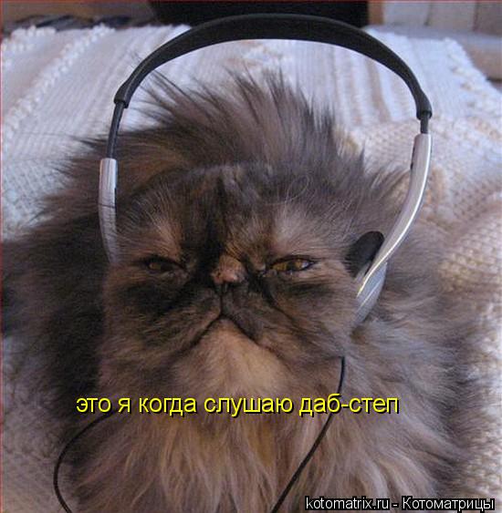 это я когда слушаю даб-степ... Котоматрица: это я когда слушаю даб-степ