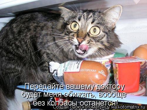 Котоматрица: Передайте вашему доктору будет меня обижать, вообще  без колбасы останется!