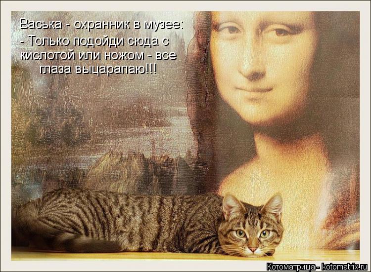 Васька - охранник в музее: - Только подойди сюда с кислотой или ножом - все глаза выцарапаю!!!... Котоматрица: Васька - охранник в музее: - Только подойди сюда с кислотой или ножом - все глаза выцарапаю!!!